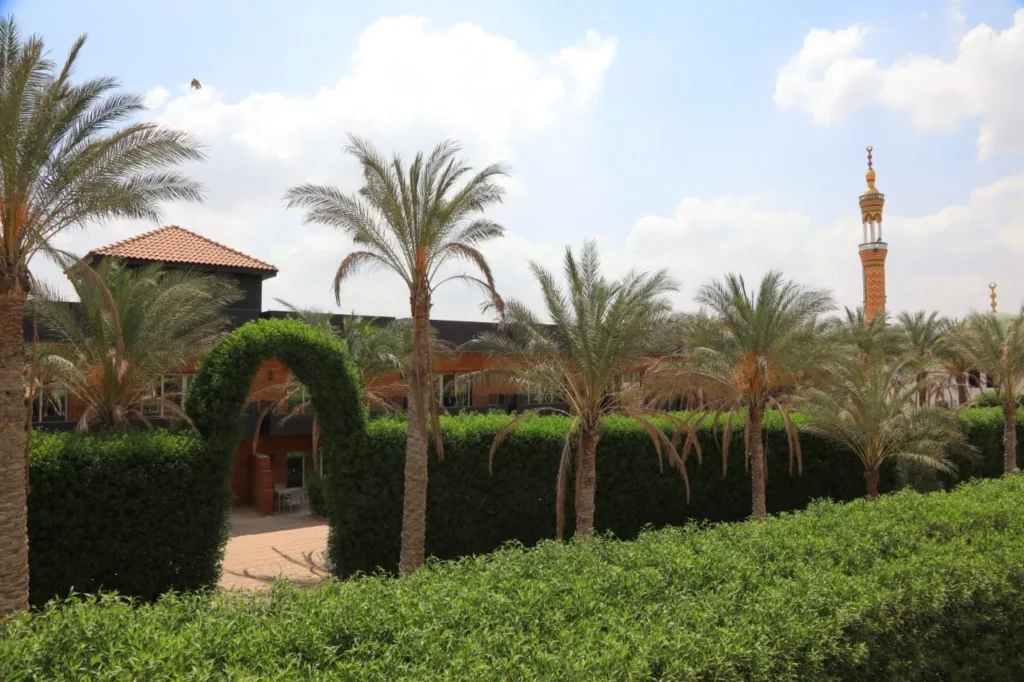 imgi_29_d3cd64d9-f3c9-4073-b3ef-97559decc33d